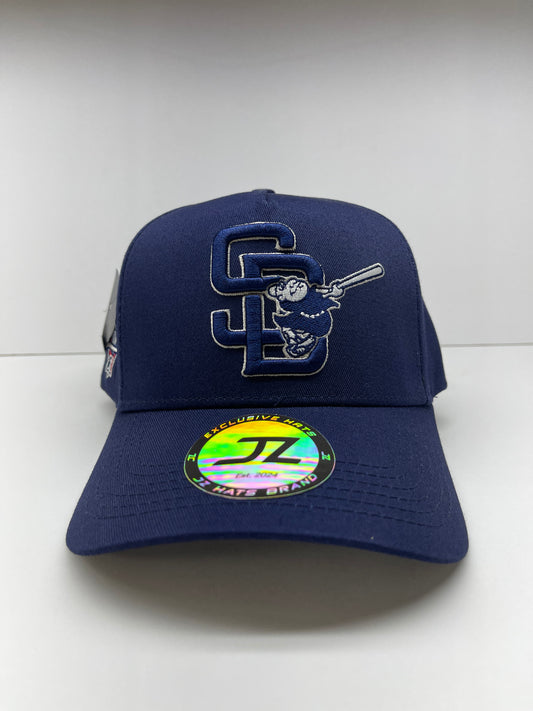 San Diego Home Run